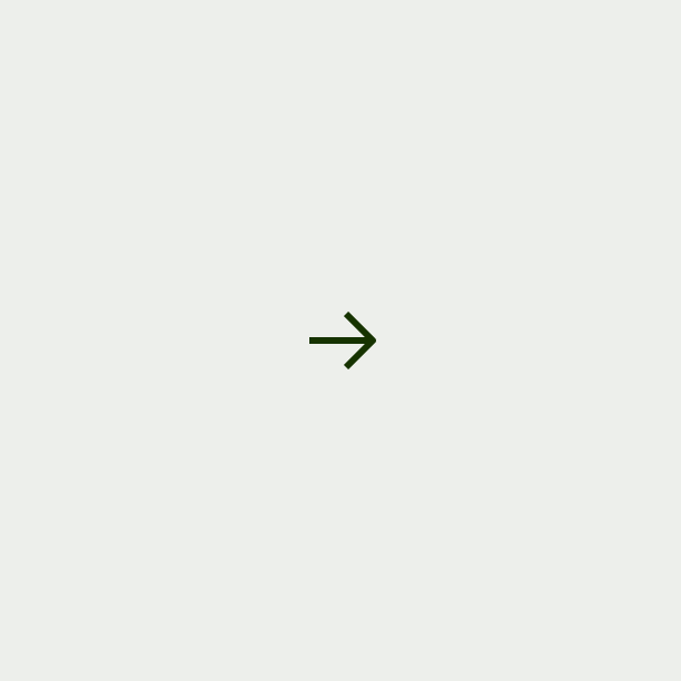 Move icon