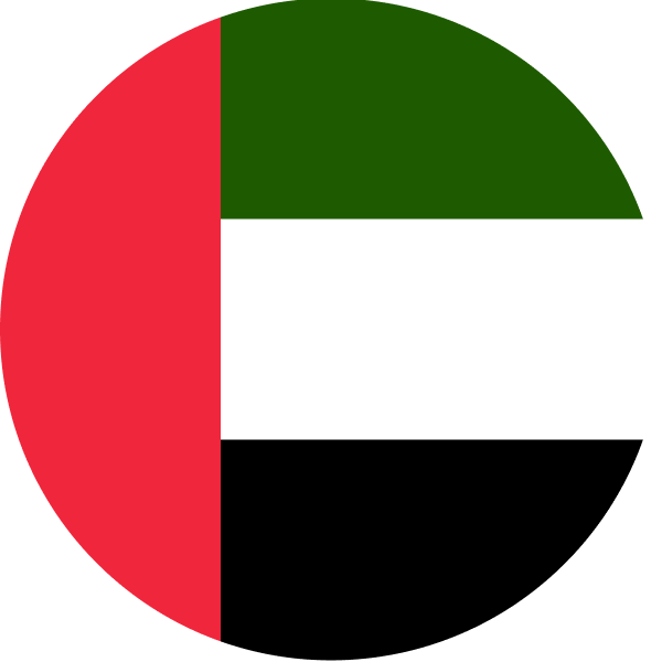 The UAE flag.