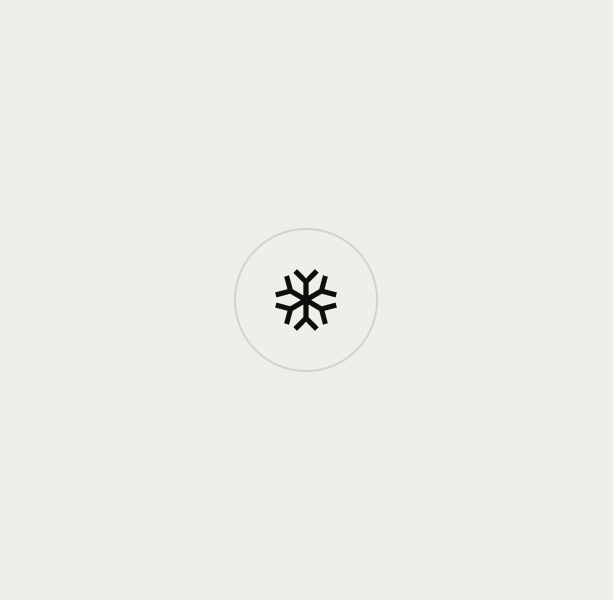Avatar with snowflake icon