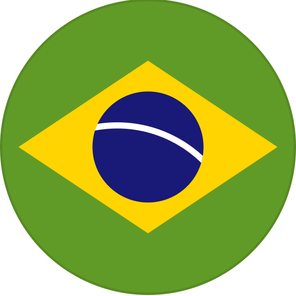 The Brazilian flag.