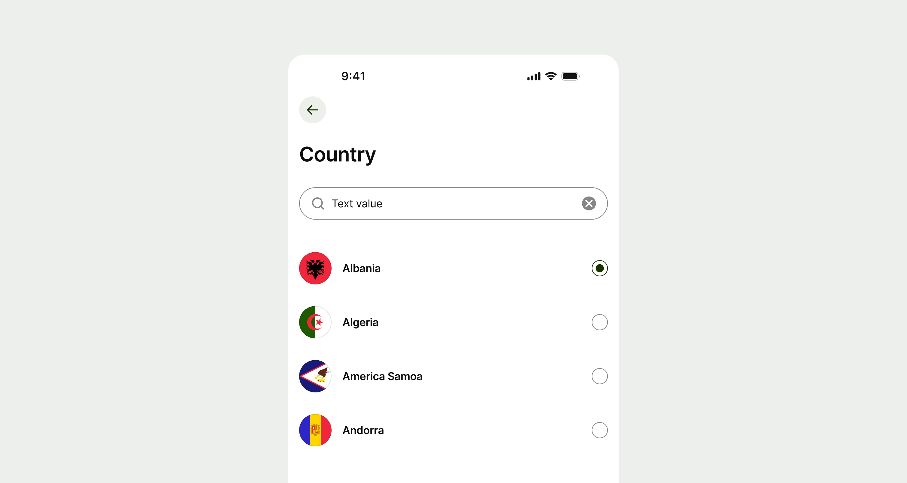 Example of radio items