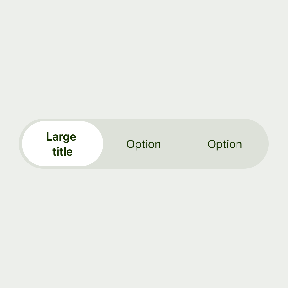 Segmented control with two lines of text