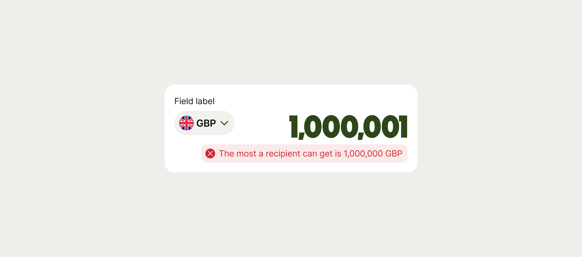 Expressive money input with error