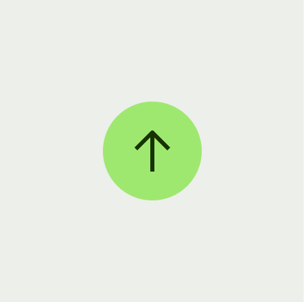 Icon button primary