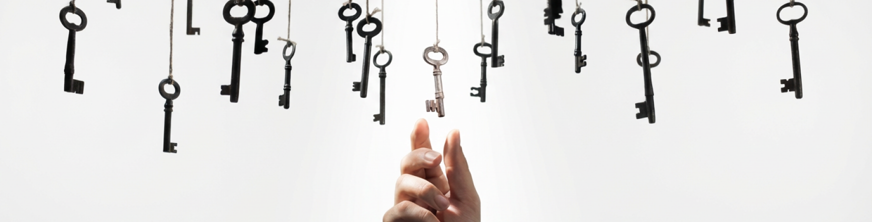 Выбор и заказ товара