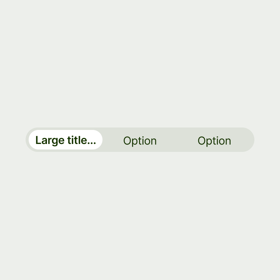 Segmented control with text truncation