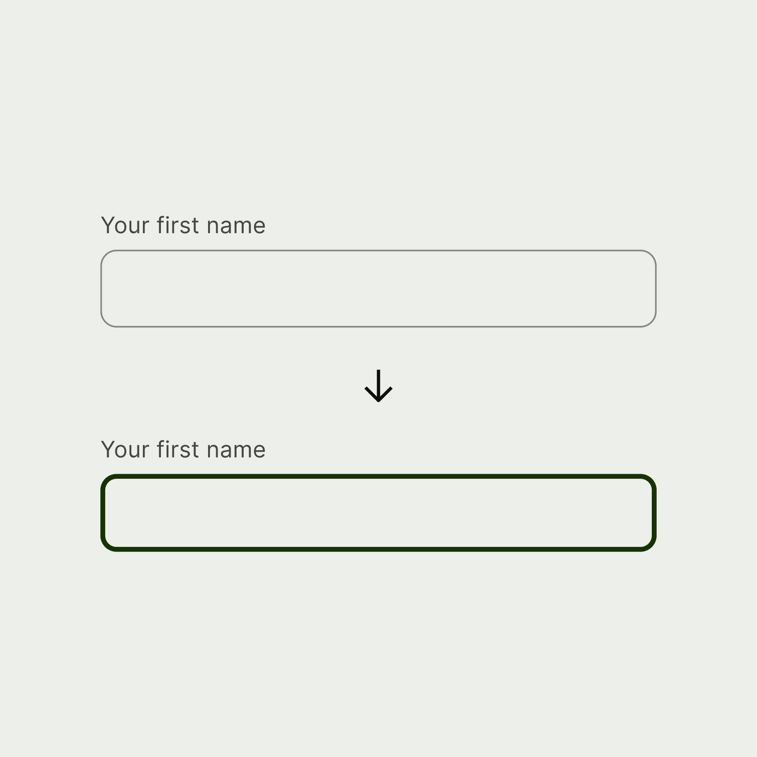 A comparison of a regular form input, and a focused form input. The focused input has a thicker border and the border colour changes to forest green.