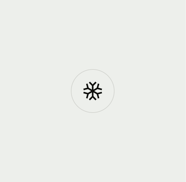 Avatar with snowflake icon