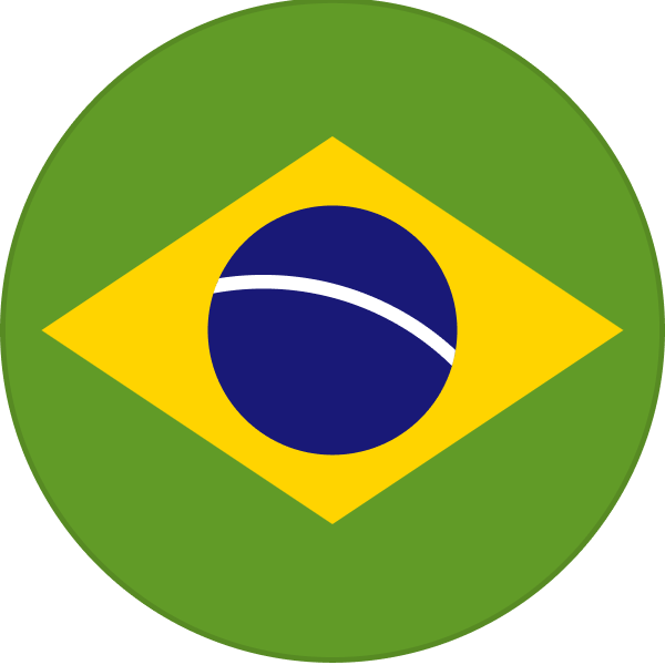 The Brazilian flag.