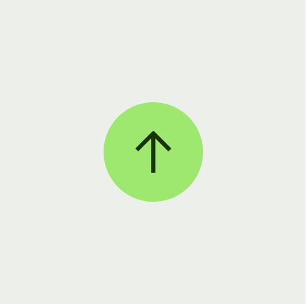 Icon button primary