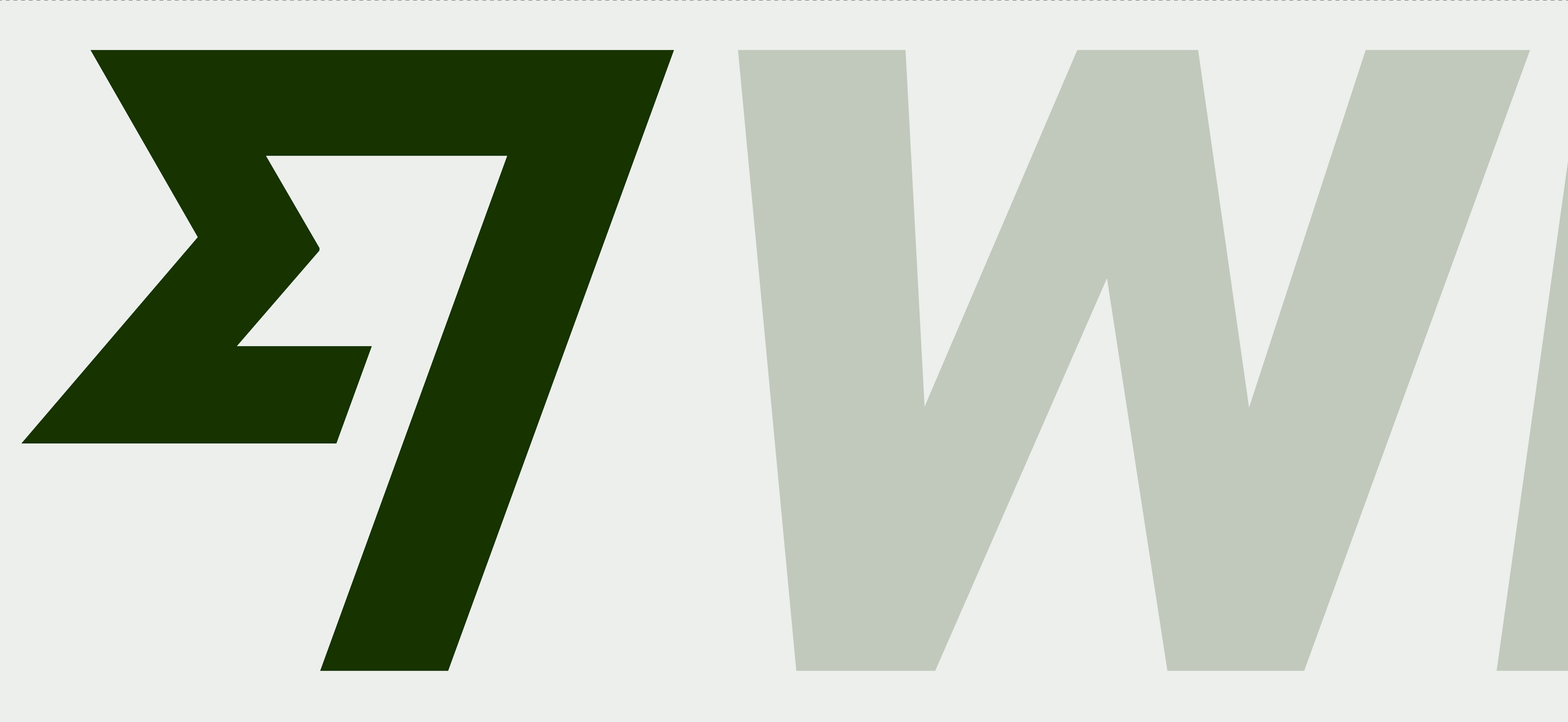 The Wise Fast Flag in Forest Green, next to a 'W' in grey.