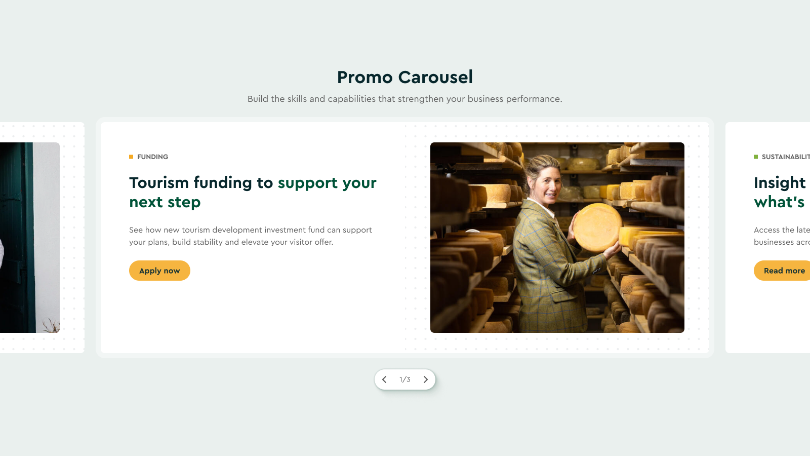 Promo Carousel