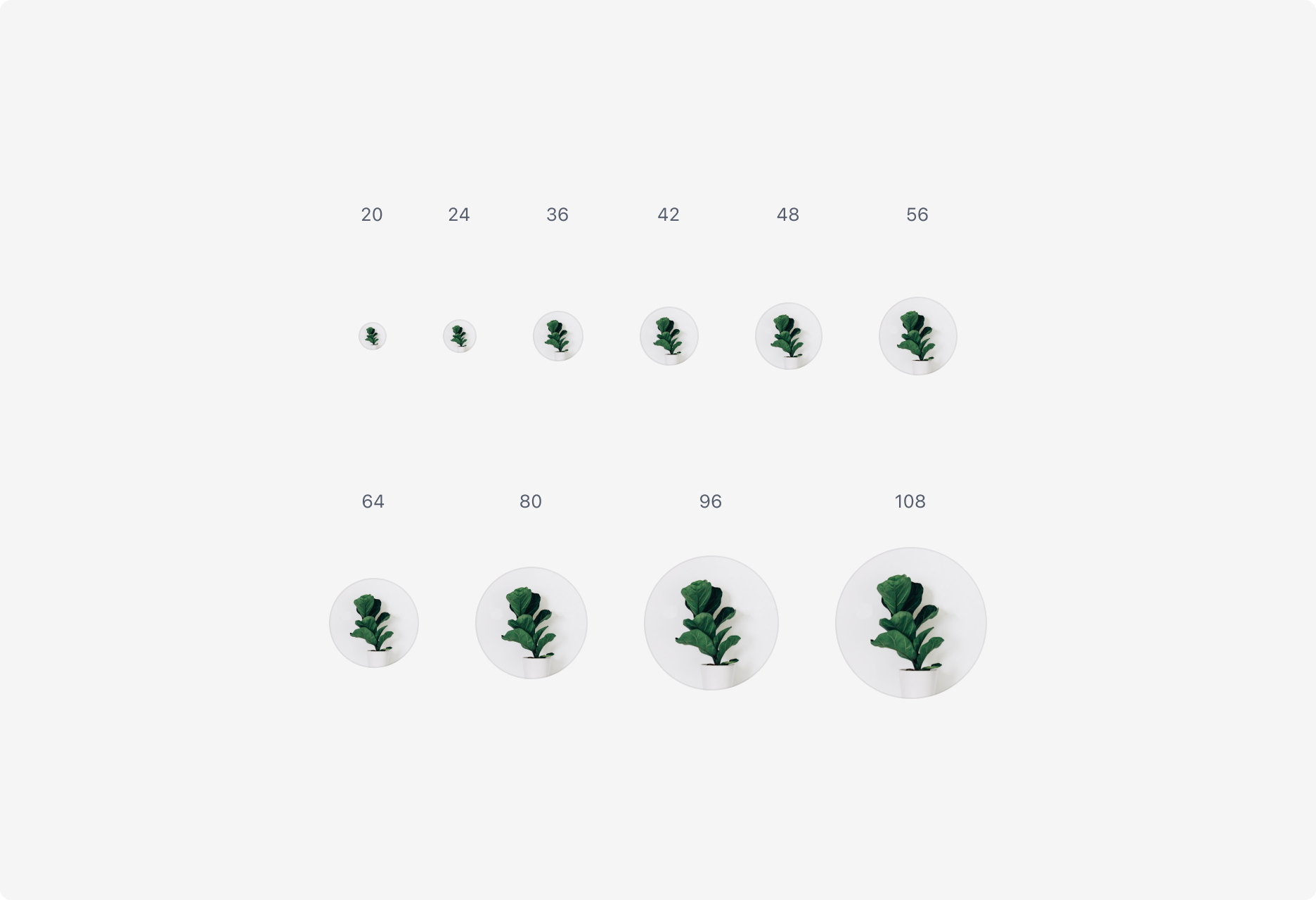 Avatar의 Size Property - 20부터 108까지 사이즈