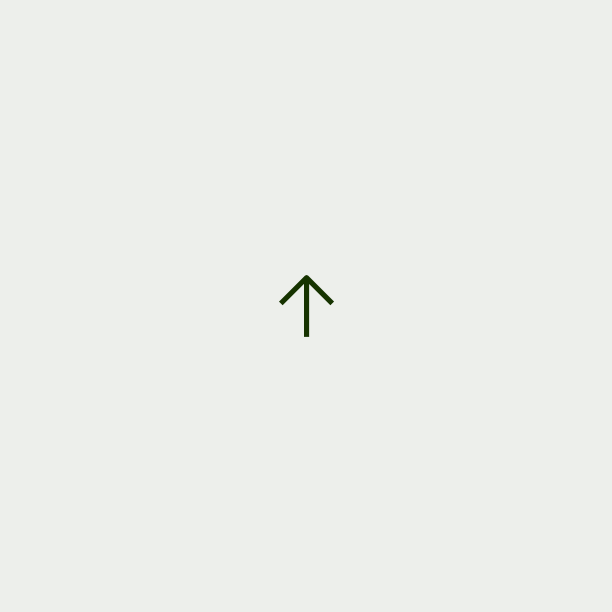 Send icon
