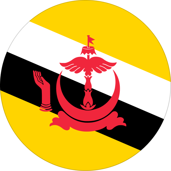 United States flag