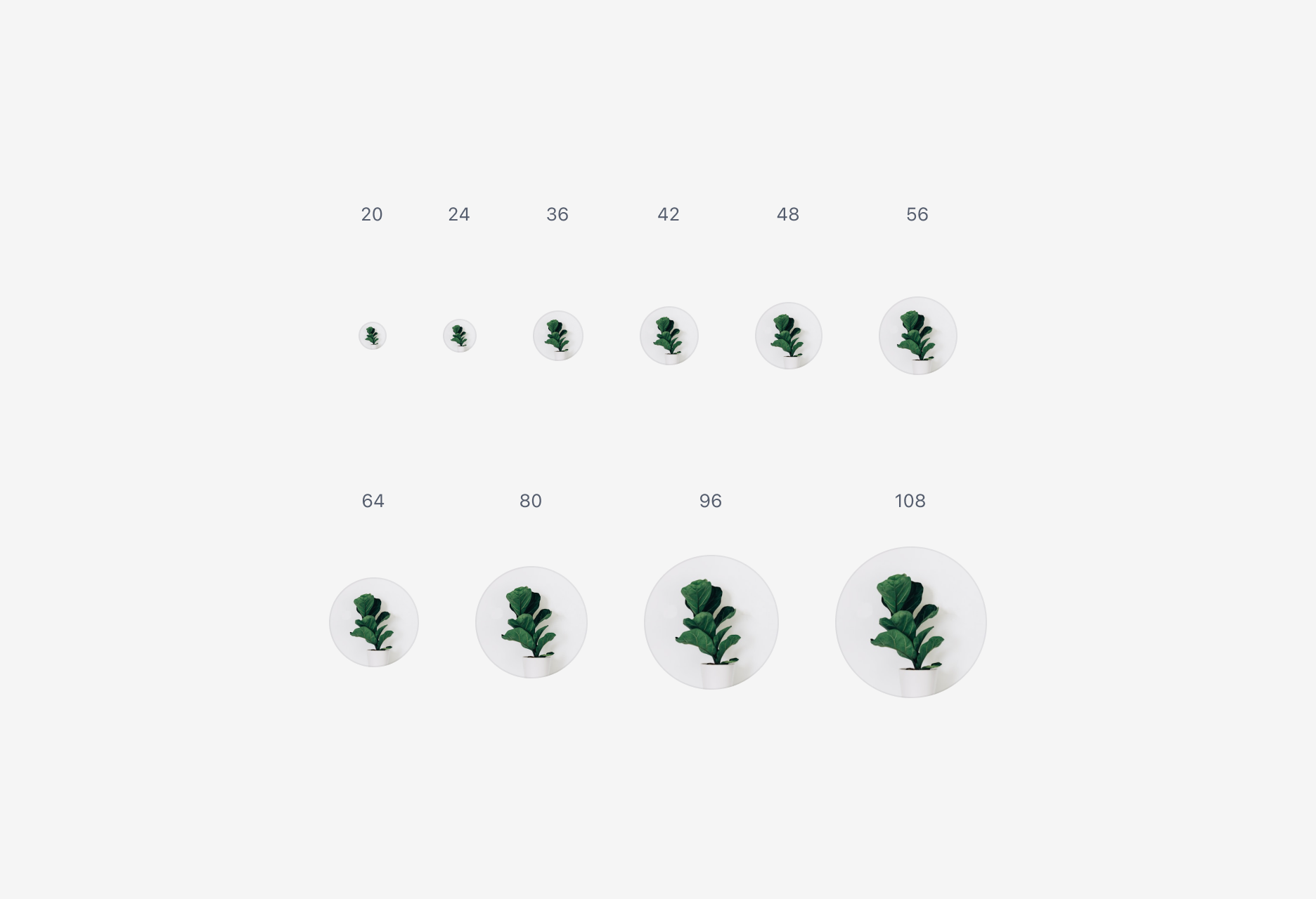 Avatar의 Size Property - 20부터 108까지 사이즈