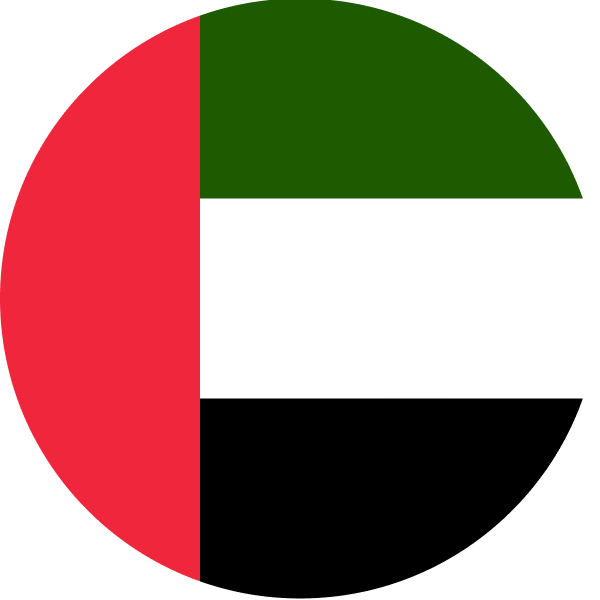 The UAE flag.