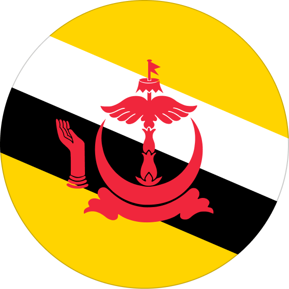 United States flag