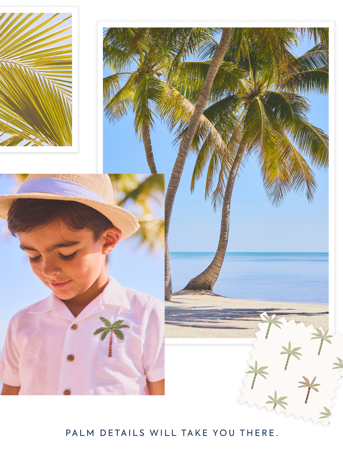 PALM DETAILS WILL TAKE YOU THERE.